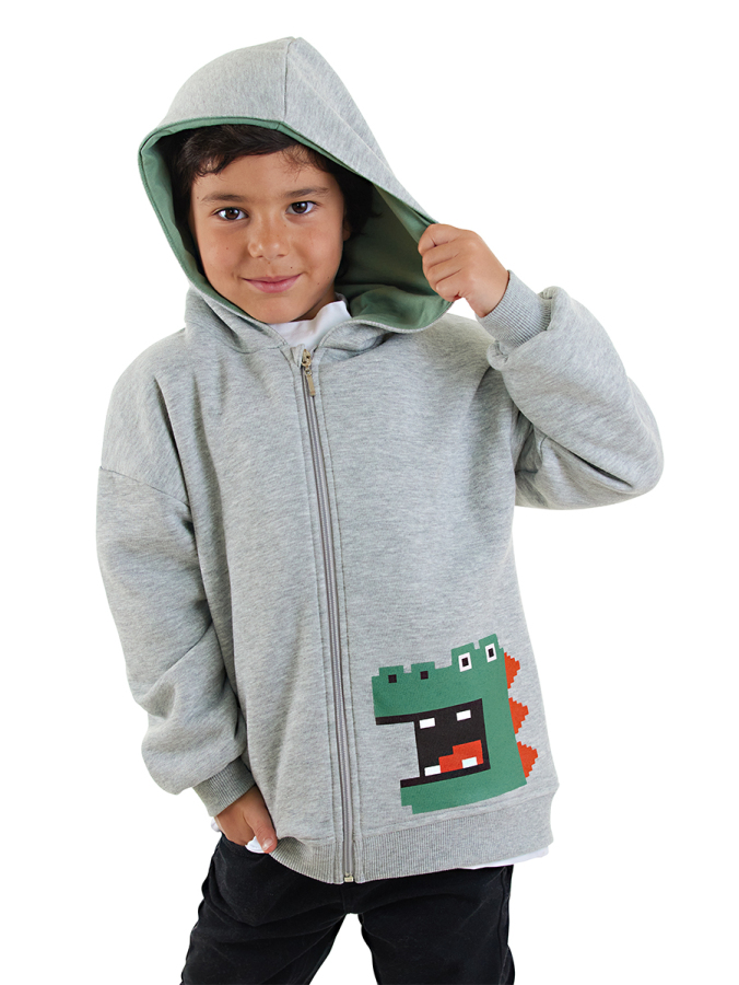 Dinozor Erkek Çocuk Fermuarlı Kapüşonlu Gri Sweatshirt - 1