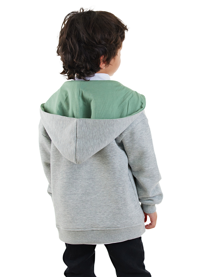 Dinozor Erkek Çocuk Fermuarlı Kapüşonlu Gri Sweatshirt - 2