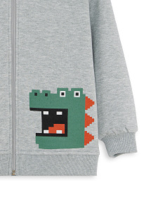 Dinozor Erkek Çocuk Fermuarlı Kapüşonlu Gri Sweatshirt - 5