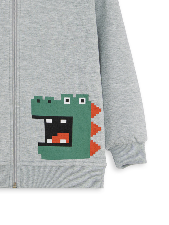 Dinozor Erkek Çocuk Fermuarlı Kapüşonlu Gri Sweatshirt - 5