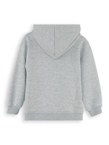 Dinozor Erkek Çocuk Fermuarlı Kapüşonlu Gri Sweatshirt - 4