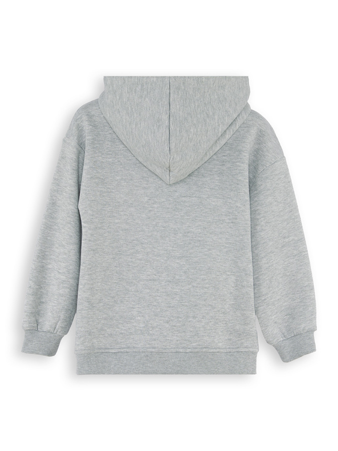 Dinozor Erkek Çocuk Fermuarlı Kapüşonlu Gri Sweatshirt - 4