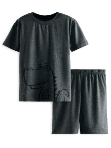 Dinozor Erkek Çocuk Gri Alt Üst Pijama Takım - 3
