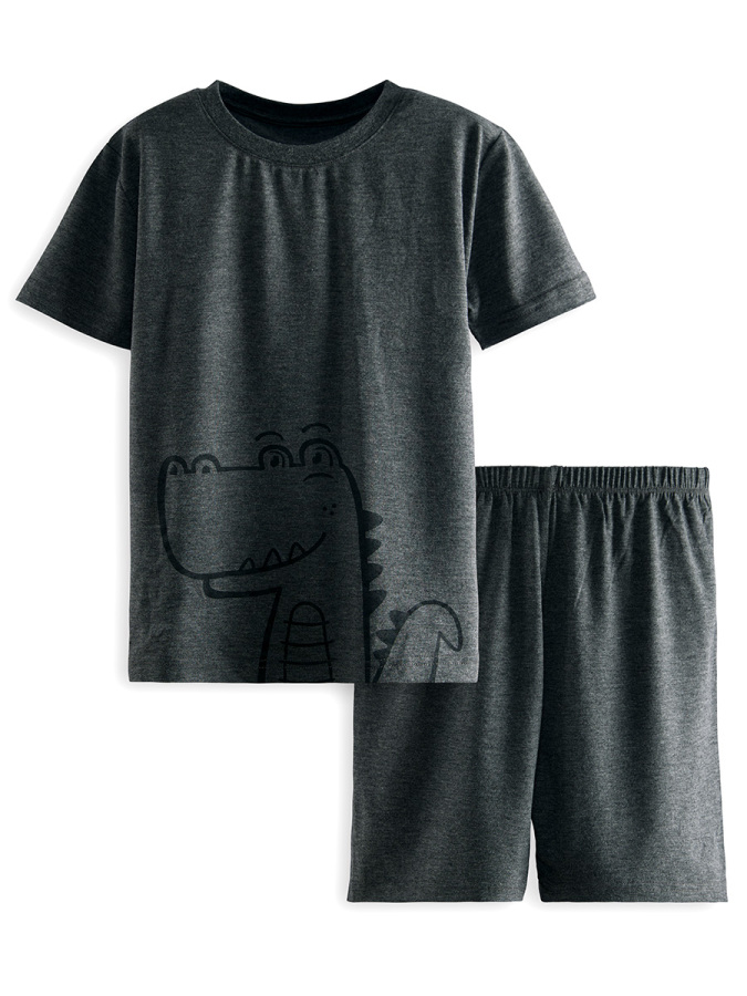 Dinozor Erkek Çocuk Gri Alt Üst Pijama Takım - 3