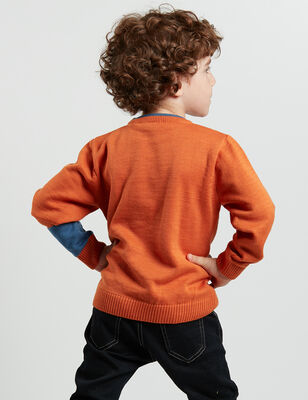 Dog Boy Knit Jumper - 2