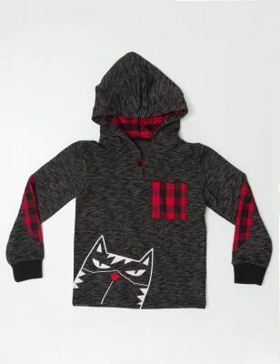 Dog Star Erkek Çocuk Kapişonlu Sweatshirt - 3