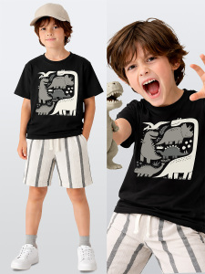 Erkek Çocuk Takım Dino Pamuk T-Shirt Ve Çizgili Keten Görünümlü Yazlık Şort - Denokids