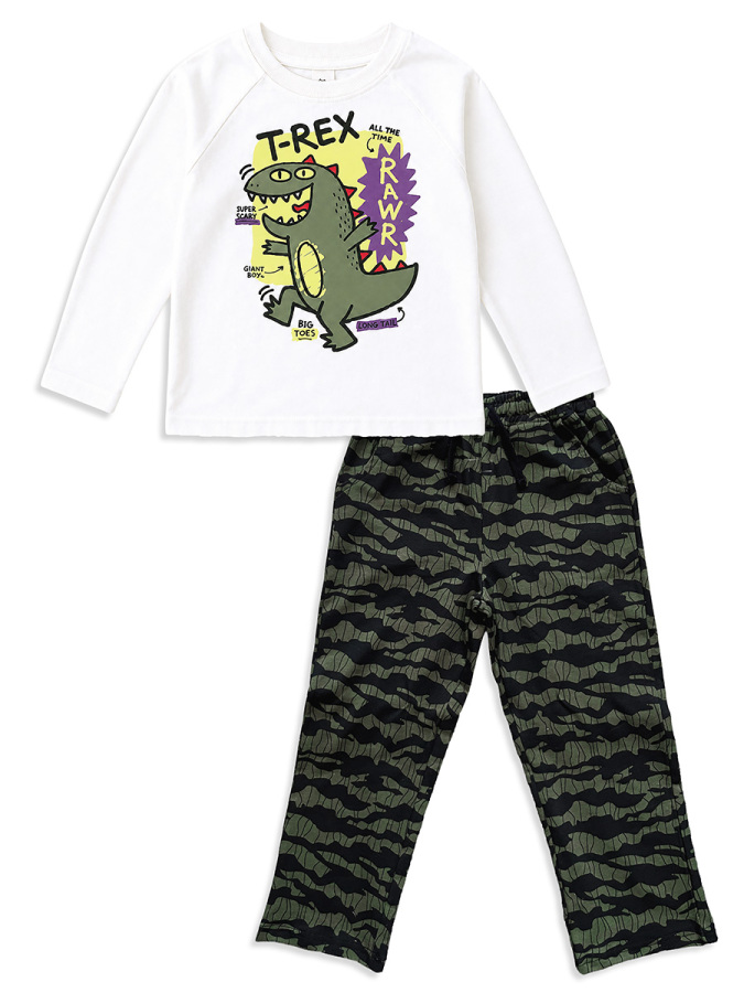 Erkek Çocuk Takım Dinozor Baskılı %100 Pamuk T-shirt ve Pantolon (3-8 Yaş) - 4