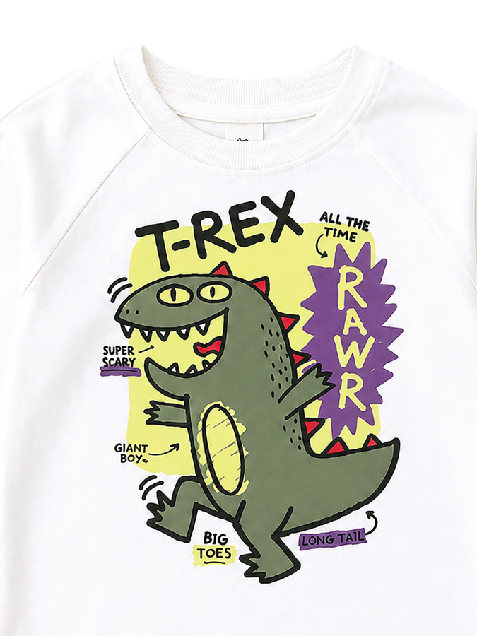 Erkek Çocuk Takım Dinozor Baskılı %100 Pamuk T-shirt ve Pantolon (3-8 Yaş) - 7