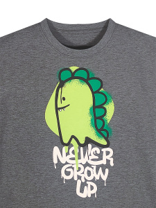 Erkek Çocuk Takım Dinozor Baskılı T-Shirt Havlu Şort İkili Takım Yazlık 4-8 Yaş - 2