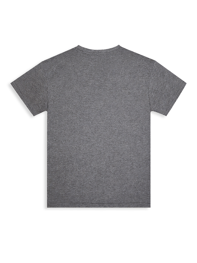 Erkek Çocuk Takım Dinozor Baskılı T-Shirt Havlu Şort İkili Takım Yazlık 4-8 Yaş - 6