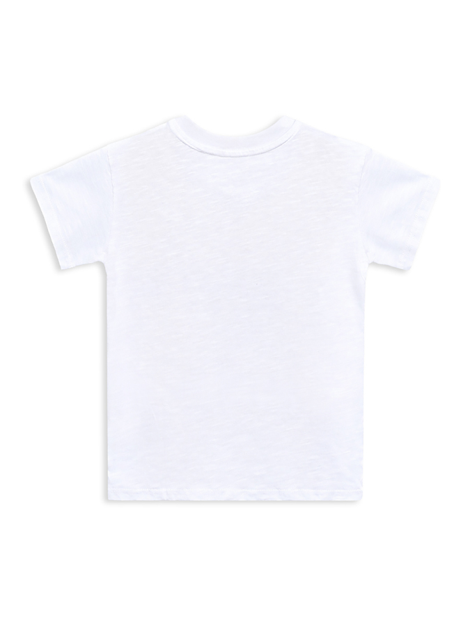 Erkek Çocuk Takım Timsah Hawaii Baskılı T-Shirt Şort İkili Takım Yazlık 2-8 Yaş - 6