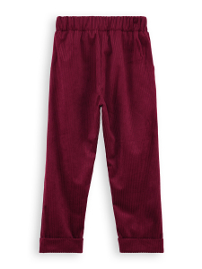 Erkek Çocuk Kadife Bordo Beli Lastikli Pantolon 3-10 Yaş - 4