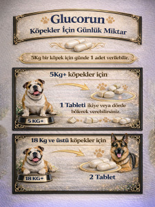 Köpek Glucorun Glukozamin Takviyesi – Eklem ve İskelet Desteği 90 Tablet - 4