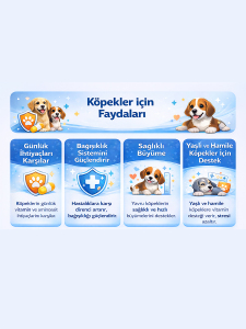 Köpek Multivit – Yavru, Yetişkin, Hamile & Yaşlı Köpekler İçin Multivitamin & Aminoasit Takviyesi 90 Tablet - 2