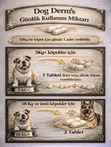 Köpekler İçin Deri ve Tüy Sağlığı Takviyesi – Çinko, D Vitamini & Biotin 90 Tablet - 4