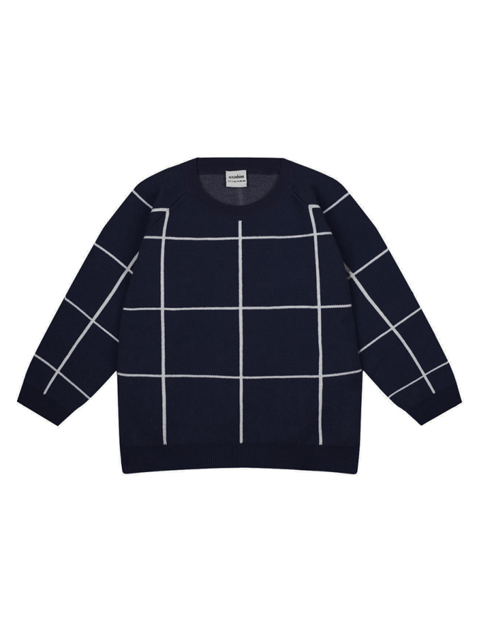 Lacivert Beyaz Ekose Desenli Triko Erkek Çocuk Kazak - 1