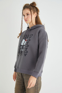 Lisanslı Baskılı Kapüşonlu Kalın Fit Sweatshirt - 3