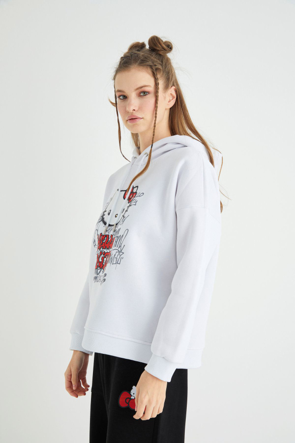 Lisanslı Baskılı Kapüşonlu Kalın Sweatshirt - 5