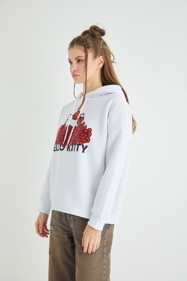Lisanslı Baskılı Kapüşonlu Kalın Sweatshirt - 4
