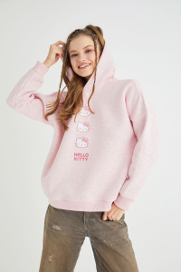 Lisanslı Baskılı Kapüşonlu Pembe Sweatshirt - 2