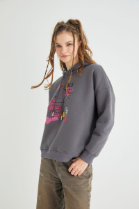 Lisanslı Baskılı Kapüşonlu Sweatshirt - 5