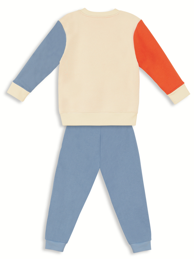 Monster Set Boy Colorblock Tracksuit - 4