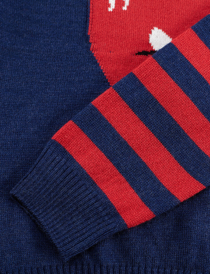 Muzip Dino Erkek Çocuk Kazak - 7