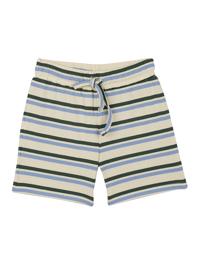 Organik Mavi Tshirt Şort Erkek Çocuk Pijama Takımı - 6