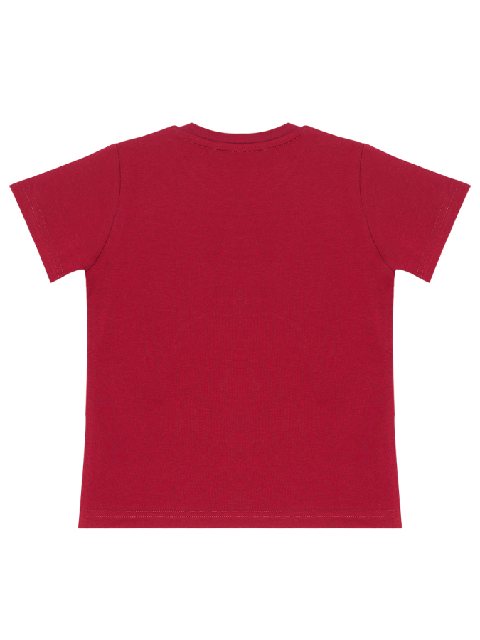 Pirate Rules Boy T-shirt&Harem Pants Set - 6