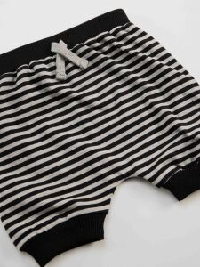 Racoon Baby Boy T-shirt&Harem Pants Set - 6