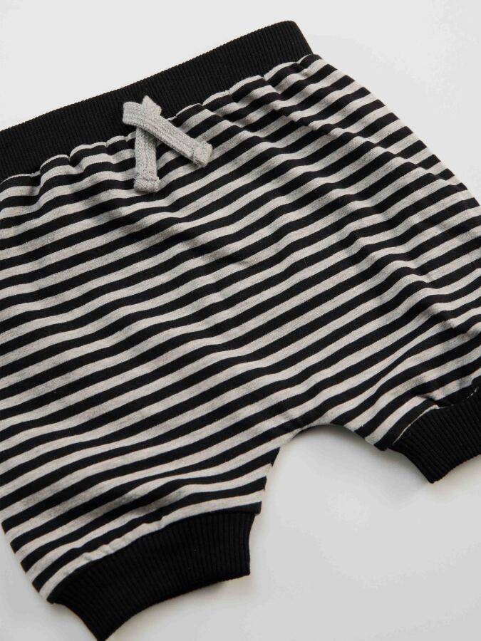 Racoon Baby Boy T-shirt&Harem Pants Set - 6