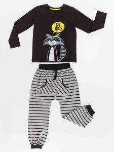 Rakun Erkek Çocuk T-shirt Pantolon Takım - 2