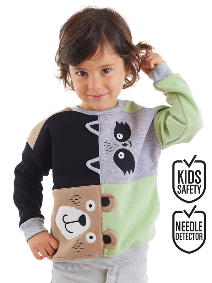 Rakun Ve Ayı Erkek Çocuk Renkli Sweatshirt - 1
