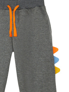 Rawr Boy Dark Grey Tracksuit - 2