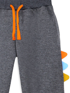 Rawr Boy Dark Grey Tracksuit - 6