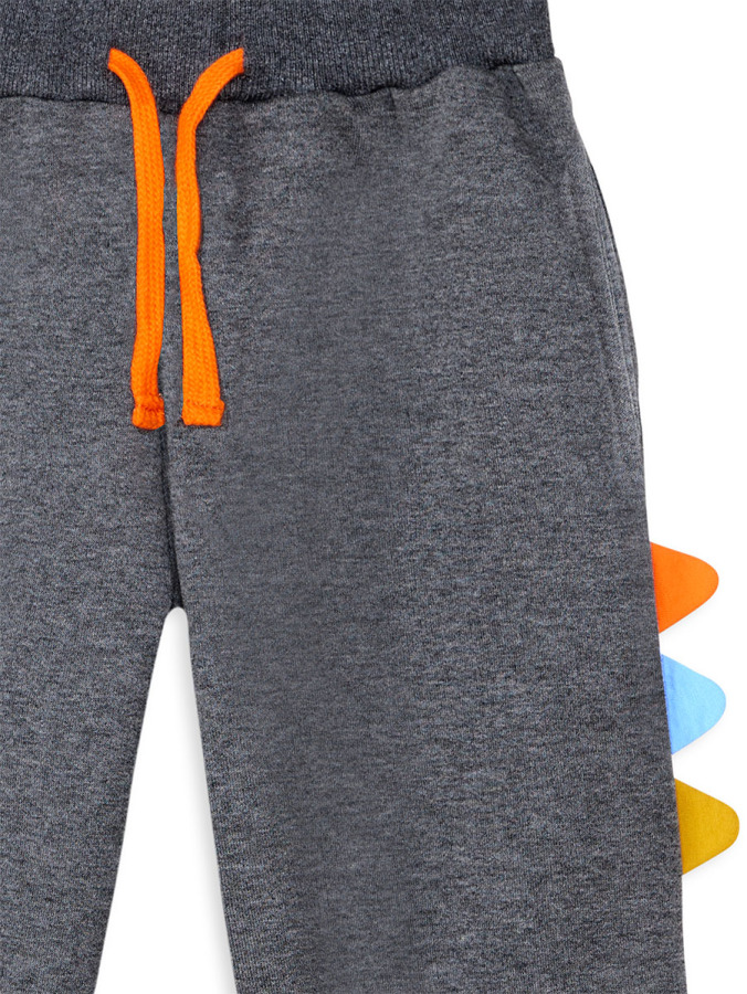 Rawr Boy Dark Grey Tracksuit - 6