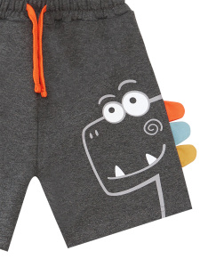 Rawr Dino Boy T-shirt&Shorts Set - 2