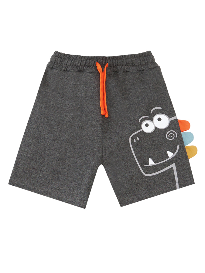 Rawr Dino Boy T-shirt&Shorts Set - 6