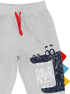 Rawr Erkek Çocuk T-shirt Eşofman Altı Takım - 2