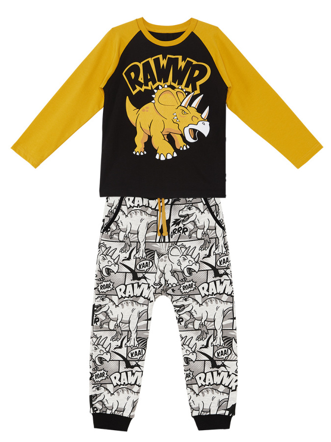 Rawr Erkek Çocuk T-shirt Eşofman Altı Takım - 3