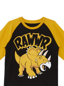 Rawr Erkek Çocuk T-shirt Eşofman Altı Takım - 8