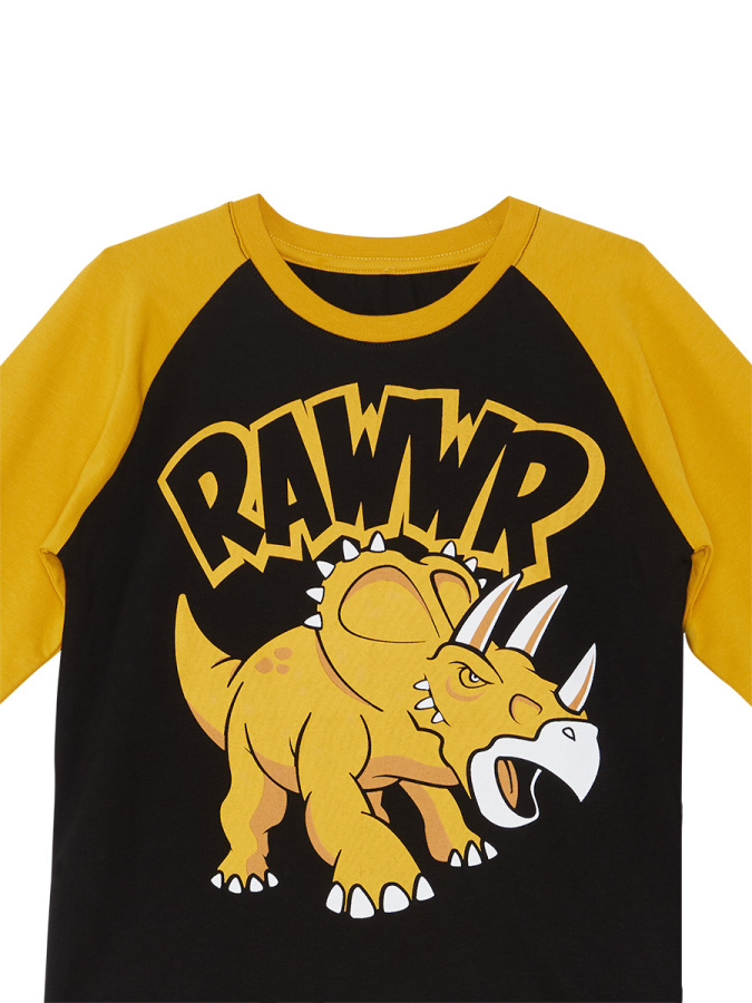 Rawr Erkek Çocuk T-shirt Eşofman Altı Takım - 8