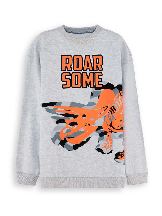Roar Dino Boy Grey Sweatshirt - 3