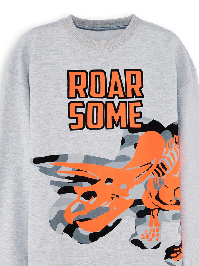 Roar Dino Boy Grey Sweatshirt - 5