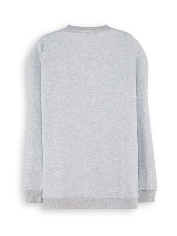 Roar Dino Boy Grey Sweatshirt - 4