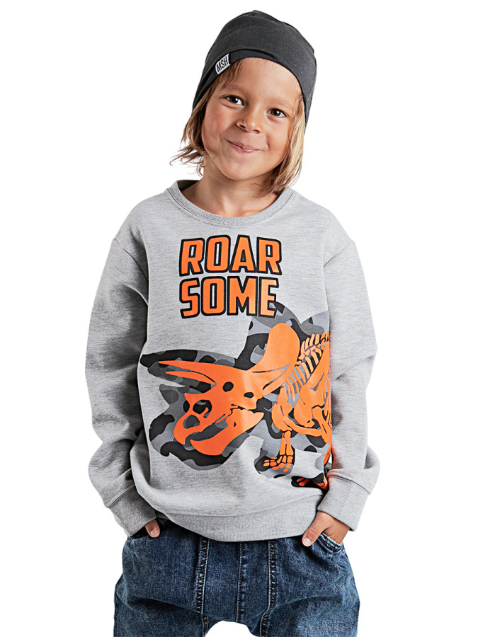 Roar Erkek Çocuk Gri Sweatshirt - 1