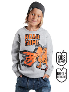 Roar Erkek Çocuk Gri Sweatshirt - Denokids