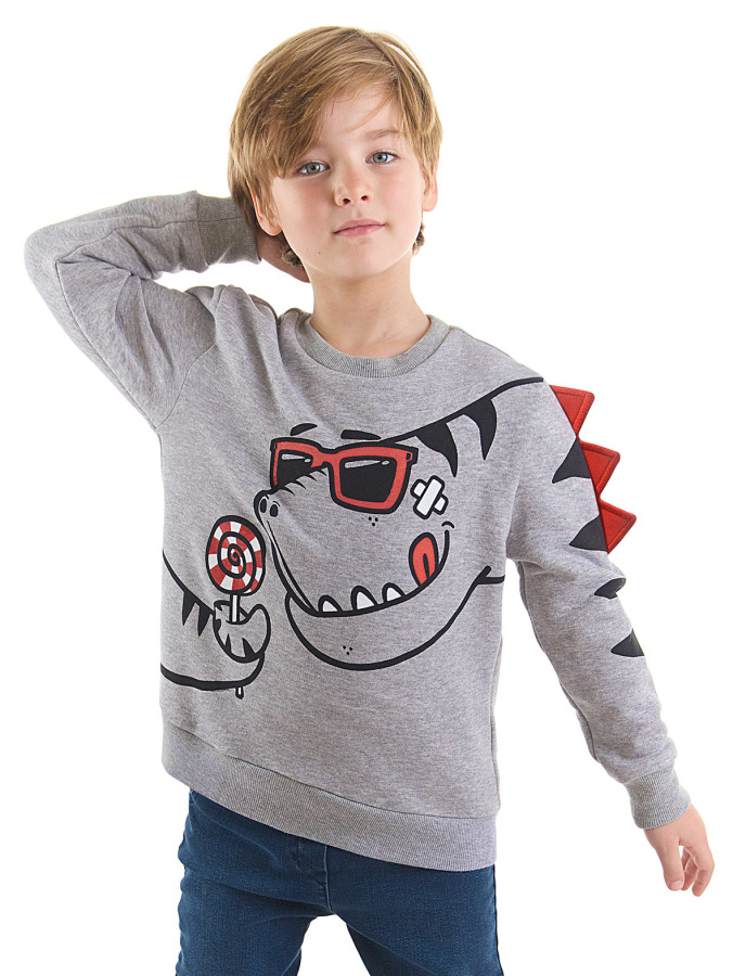 Şekerci Dinozor Erkek Çocuk Gri Sweatshirt - 1