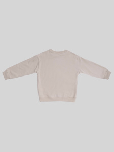 Spencer Gri Pamuklu Erkek Çocuk Sweatshirt - 4
